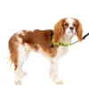 Cheap PetSafe Deluxe Easy Walk® Harness