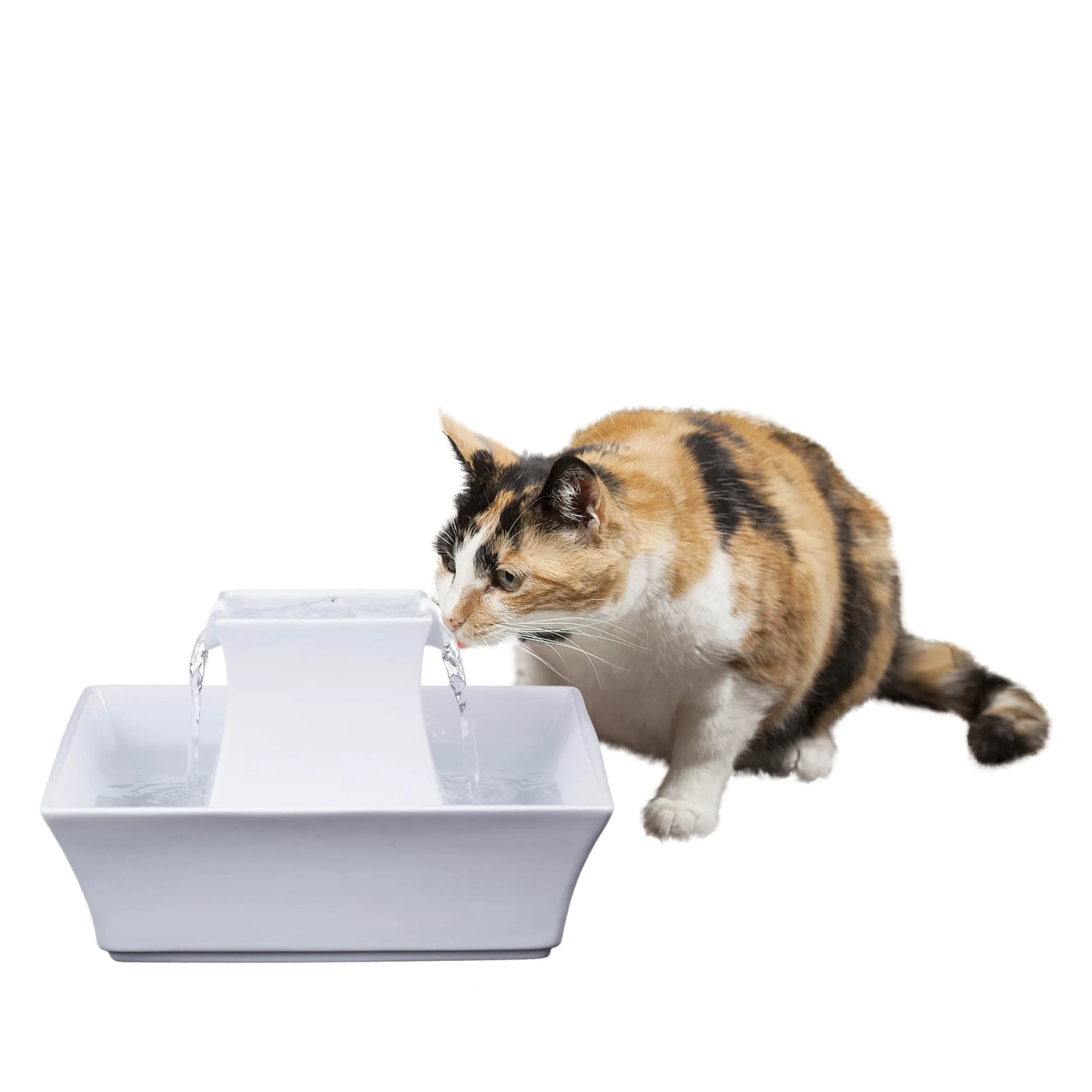 Online PetSafe Drinkwell® Pagoda Fountain