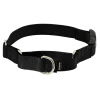 Online PetSafe Martingale Collar with Quick Snap Buckle