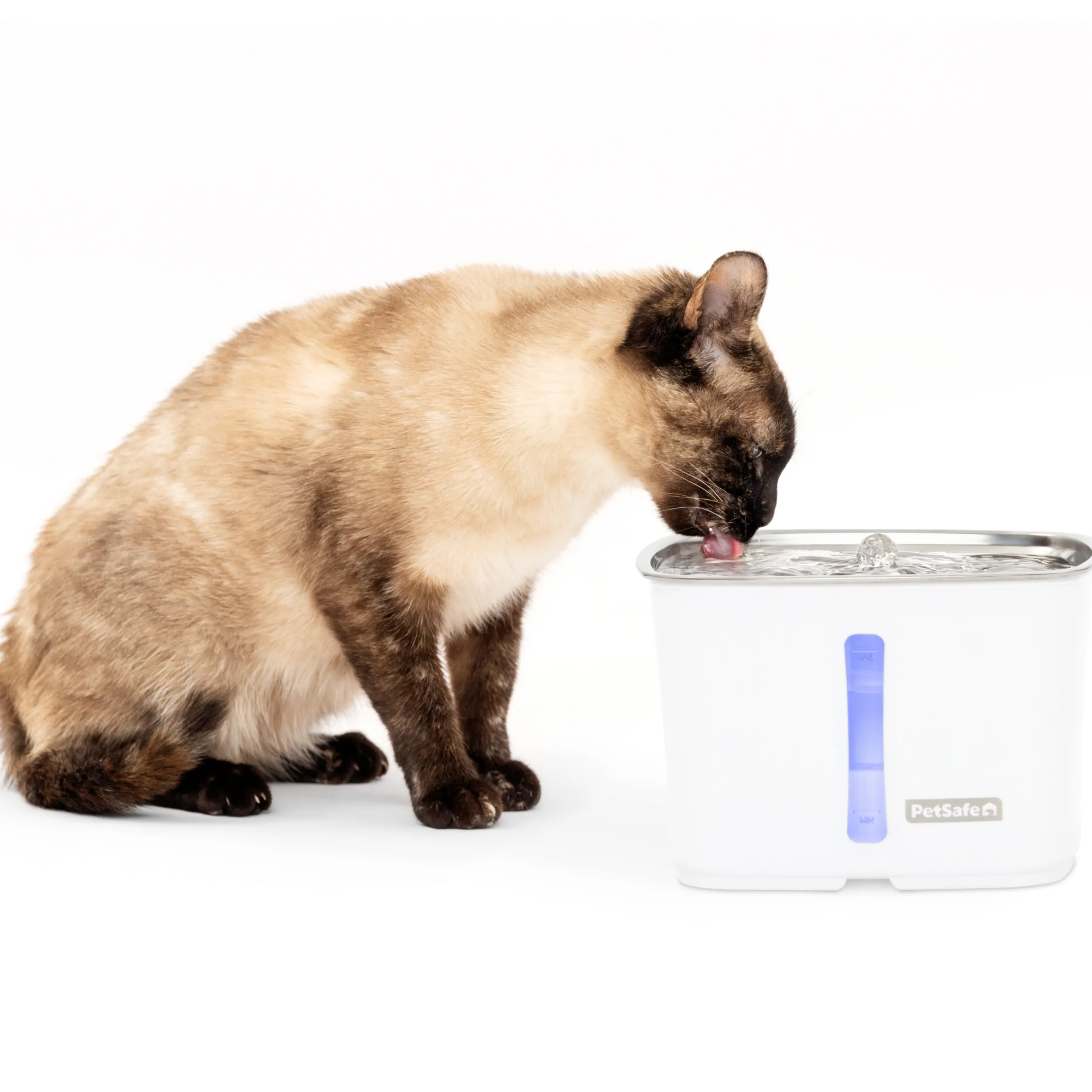 Clearance PetSafe Viva™ 64 oz Stainless Steel Pet Fountain